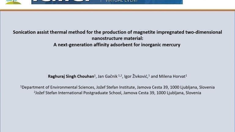 Sonication assist thermal method for the production of magnetite impregnated two-dimensional nanostructure